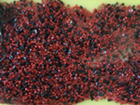 2007-05-04-rote-und-schwarz.jpg 200x151