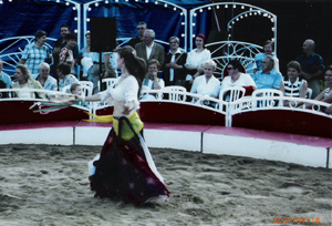 2007-07-18-Plauen-tanzend-0.jpg 300x204